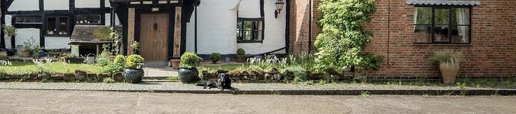 The Importance of your Credit Score