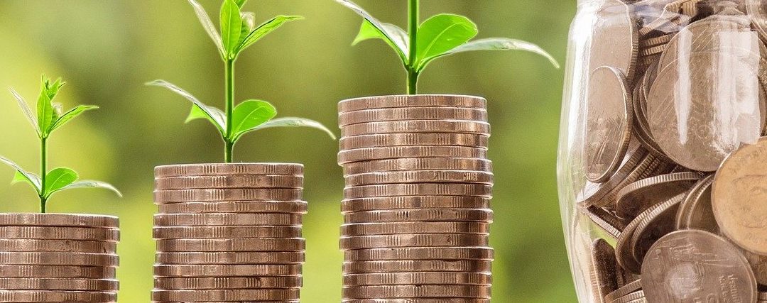 Joint Borrower Sole Proprietor